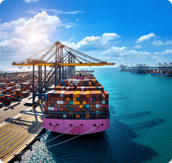 China Importer